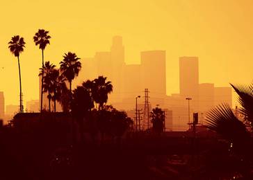 Los Angeles City